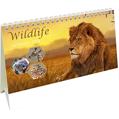 Desk calendar 2024 Wildlife