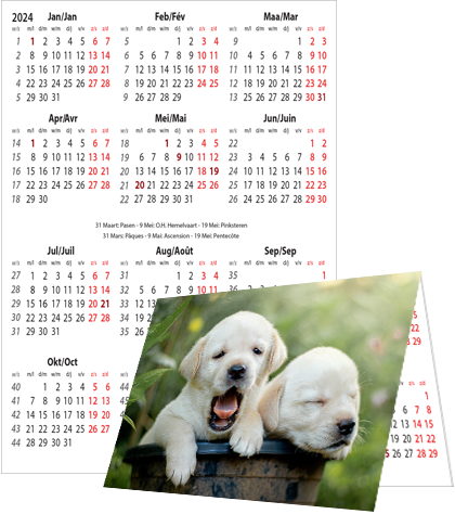 Pocket calendar 2024 Double