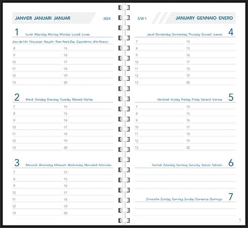 Pocket diary 2024 Visuplan comb bound