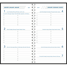 Pocket diary 2024 Visuplan comb bound