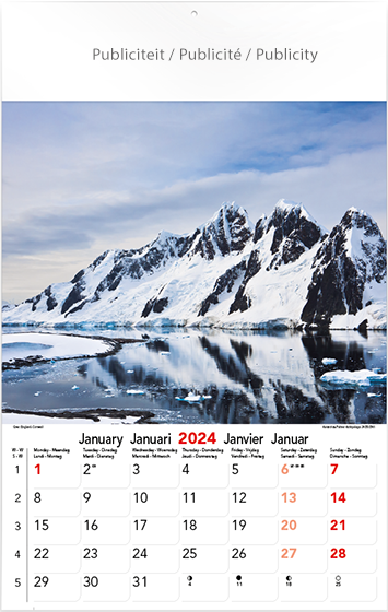 Wall calendar 2024 Amazing Visions 13p 30x47cm