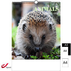 Wall calendar 2024 Animals A4 A3