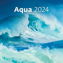 Wall calendar 2024 Aqua 13p 31x52cm Cover