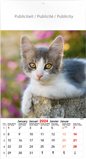 Wall calendar 2024 Cats & Dogs 13p 30x47cm