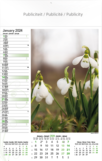 Wall calendar 2024 Flowers 13p 30x47cm