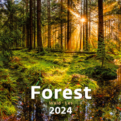 Wall calendar 2024 Forest 13p 31x52cm Cover