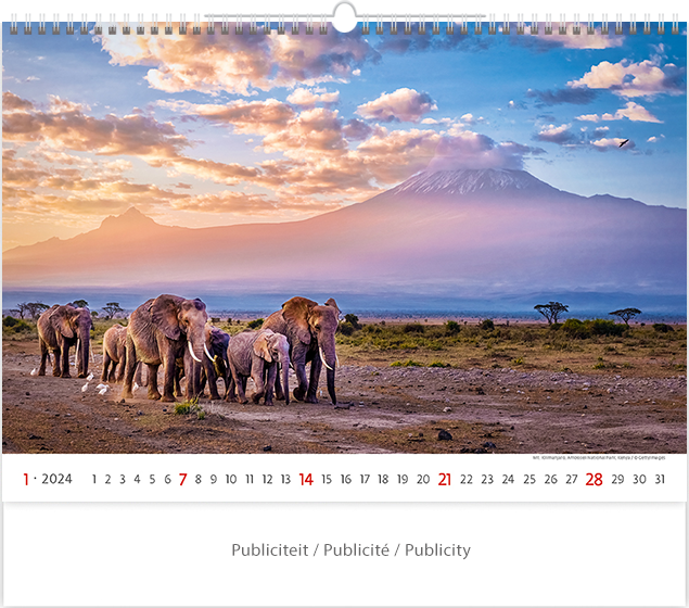 Wall calendar 2024 National Parks 13p 45x38cm