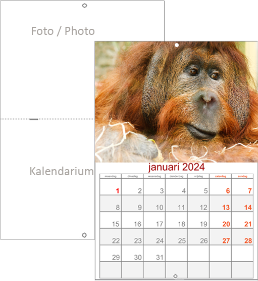 Wall calendar tailor-made 2024 double stapled